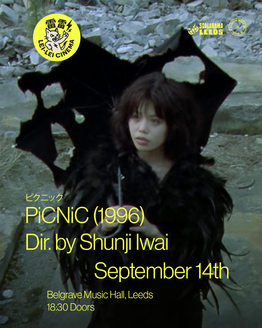 PiCNiC (1996) Poster
